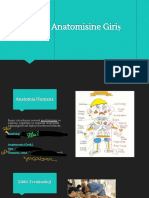 İnsan Anatomisine Giriş