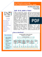 Folleto Adhd 2020 Papas y Profesores