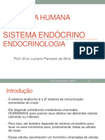 Anatomia Humana - Sistema Endócrino