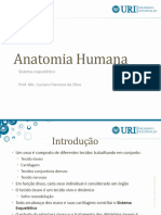 1anatomia Humana - Sistema Esquelético