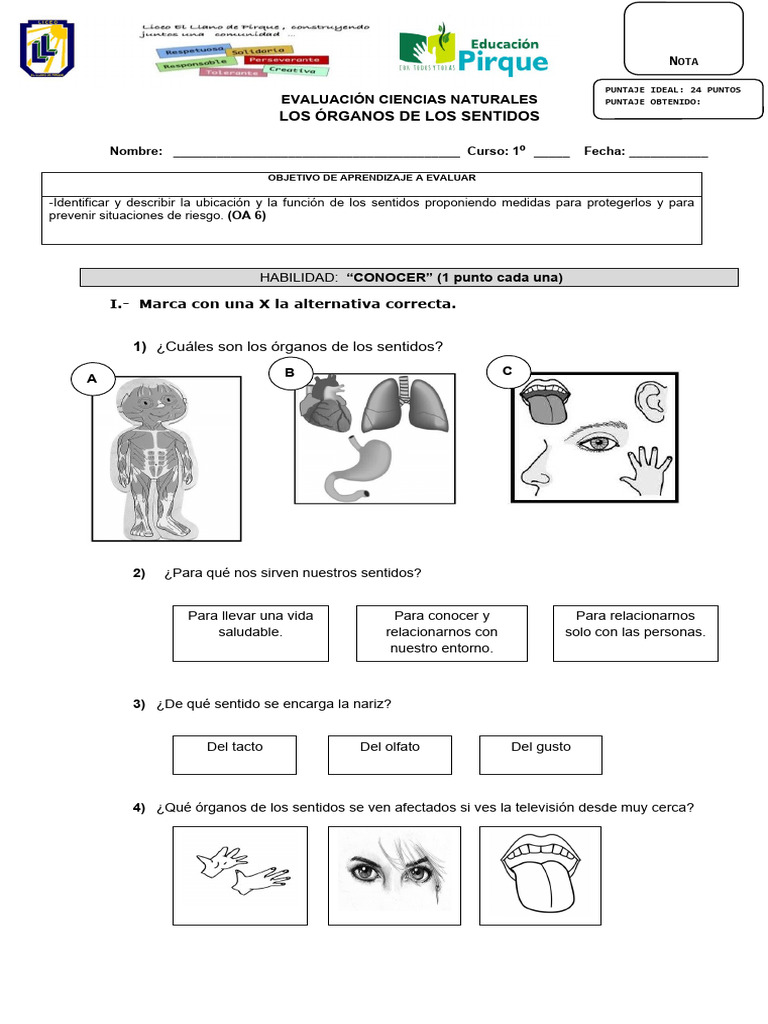 Evaluación de los Sentidos para Primaria | PDF | Gusto