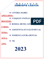 Nomenclatura Dental