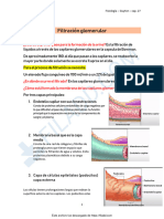 Filtracion glomerular (1)