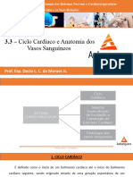 3.3 - Ciclo Cardíaco e Anatomia Dos Vasos Sanguíneos