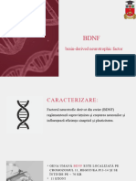 BDNF Brain-Derived Neurotrophic Factor