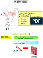 La Organizacioì N de Cuerpo Humano Episodio Todo 2