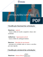 3 Sin Stem A Articular