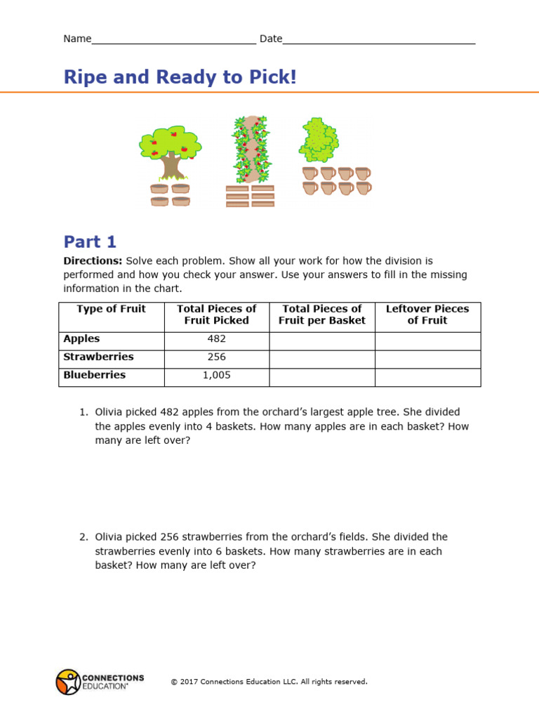 Fruit Division and Cost Analysis | PDF | Strawberry | Berry