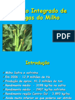 Mip Milho - 2018