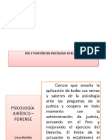 Rol y Función Del Perito