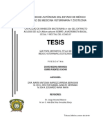 Tesis: Universidad Autónoma Del Estado de México Facultad de Medicina Veterinaria Y Zootecnia