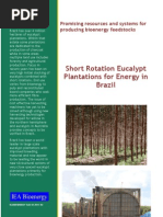 Download IEA T43 Eucalypts Brazil C1 by Bjoern Heidrich SN68185215 doc pdf