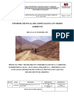 Informe Medio Ambiente