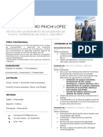 CV MarcoPinchi Actualizado