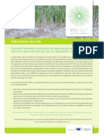 Eip-Agri Factsheet Soil Salinisation 2020 FR