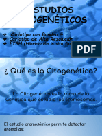 Estudios Citogenéticos