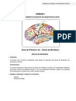 GUÍA DE PRÁCTICA 4 Neuropsicología