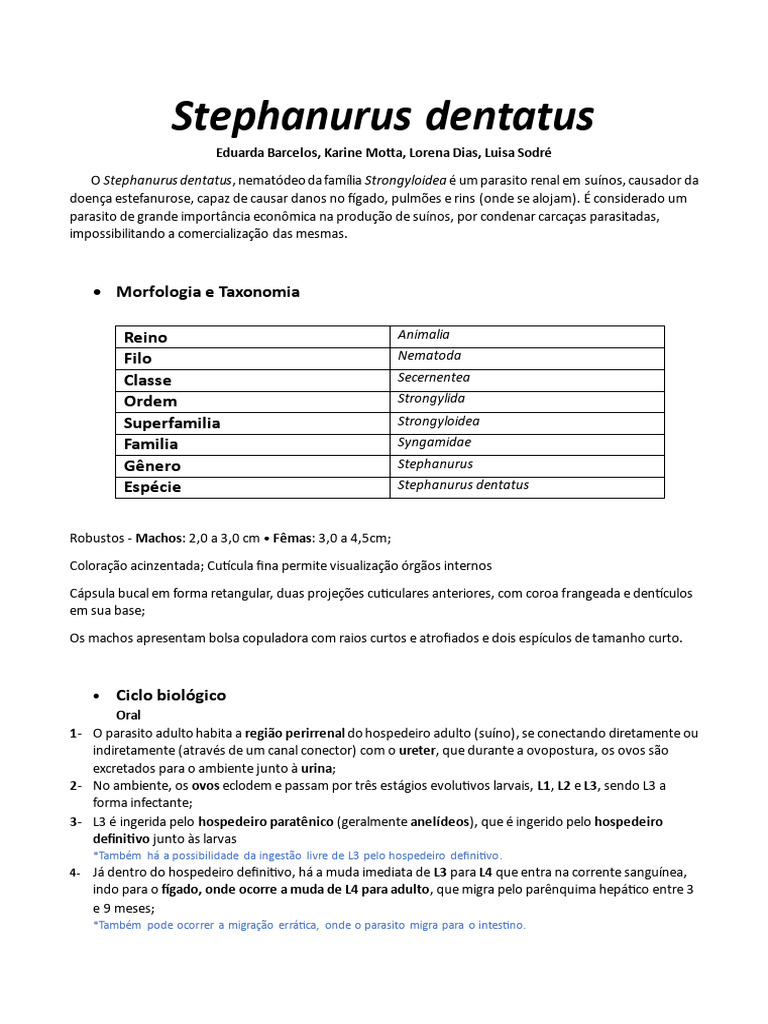 Ciclo de Vida do Stephanurus Dentatus | PDF | Rim | Nematoda