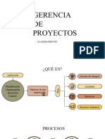 Gerencia de Proyectos