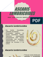 PARASITOLOGIA II - Ascaris Lumbricoides