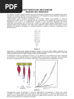 Caratteristiche del muscolo