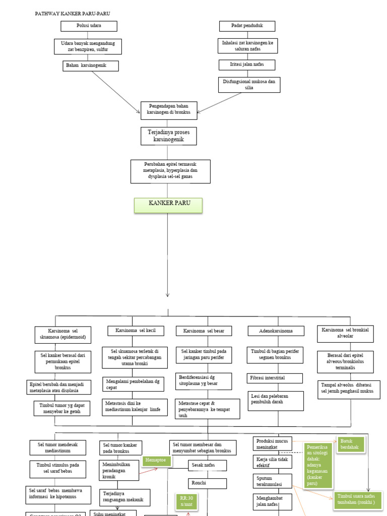 Pathway Kanker Paru | PDF