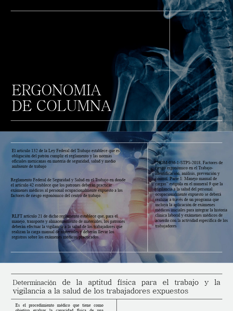 Vigilancia Ergonómica en el Trabajo | PDF | La columna vertebral | Vértebra