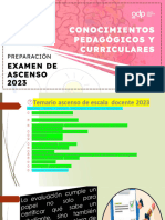 02 - 09 L Grupo Docente Perú L Conocimientos Pedagógicos y Curriculares