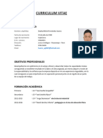 Curriculum Vitae 2