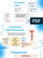 Diapositivas de Patología Cervical