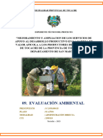 09. Carátula  - EVALUACIÓN AMBIENTAL