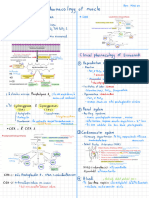 Summary Pharmaco - Pathology MSK