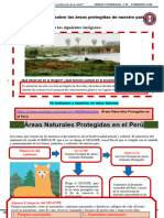 Ficha de Cyt N°19