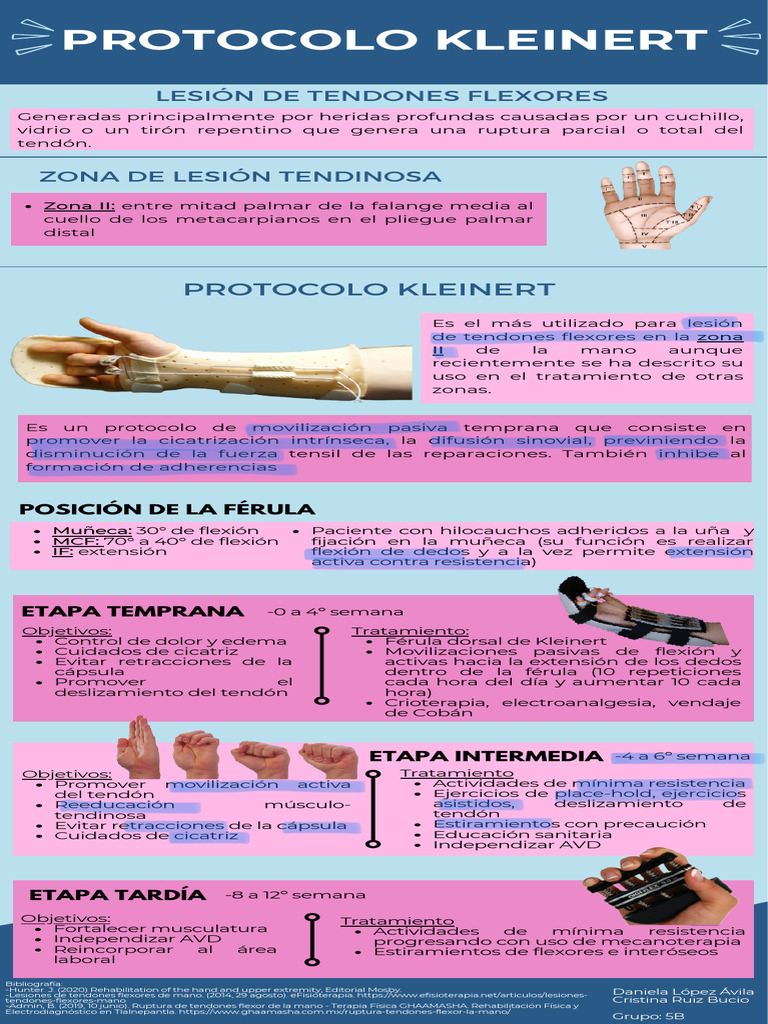 Protocolo Kleinert | Descargar gratis PDF | Tendón | Mano