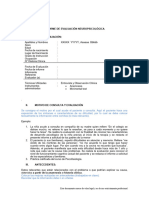 GUIA DE INFORME MINIMENTAL (1)