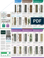 FP1 Trees in Winter FINAL