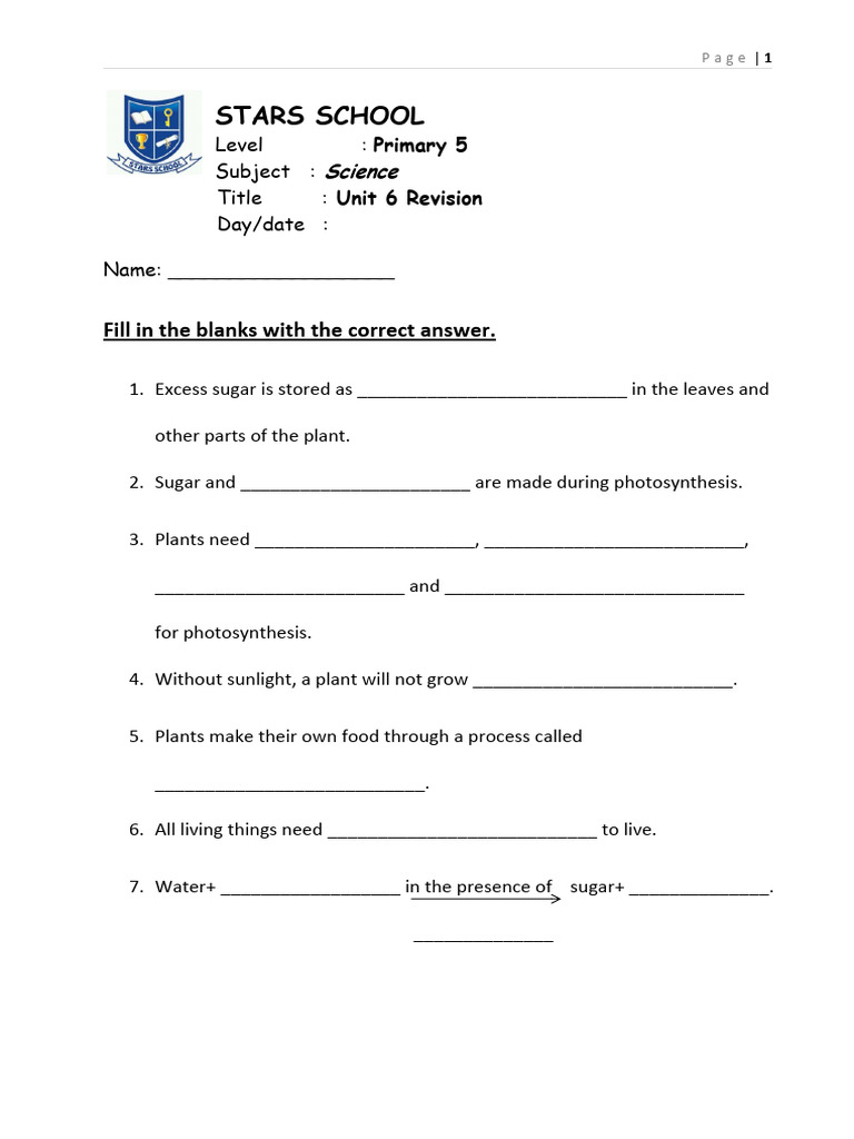 Photosynthesis Revision Worksheet | PDF | Photosynthesis | Leaf