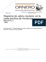 1996 Registros de Jabiru Mycteria en La Costa Pacífica de Honduras