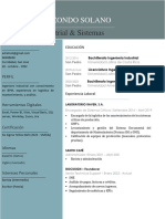 Curriculum Vitae - Adrián Elizondo Solano