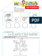 Las Plantas para Niños de 5 Años