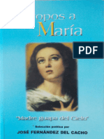 Piropos A Maria Madre Guapa Del Cielo - Jose Fernandez Del Cacho