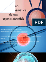 Injeção Intracitoplasmática de Um Espermatozóide