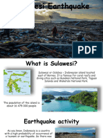 Sulawesi Earthquake