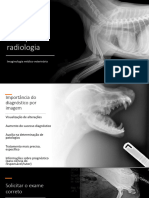 Princípios de Radiologia
