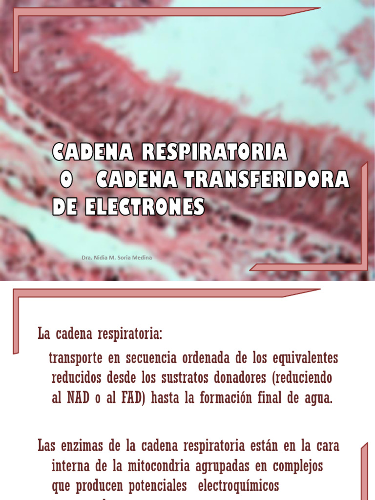 Maschera Gas Era Sovietica PDF-7 Tubo Eccedenza Respiratoria