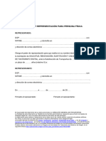 Modelo Representación Personas Física