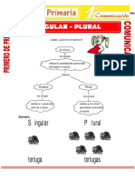 Singular y Plural para Primero de Primaria