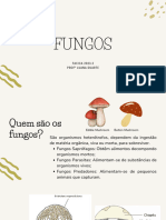 FUNGOS