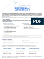 PDF Profesional Gastronomico Noviembre