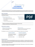 PDF Cocinero Profesional Noviembre